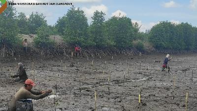 Penanaman Bibit Mangrove oleh masyarakat di Penaga, Teluk Bintan, Kab. Bintan, Kepulauan Riau.