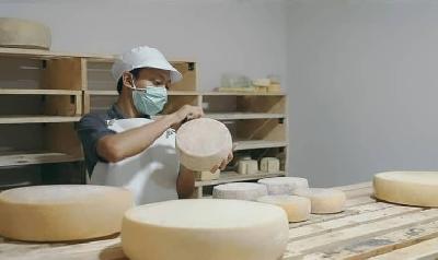 Proses pembuatan Mazaraat Cheese di Kaliurang, Yogyakarta. Dok. Mazaraat Cheese