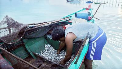 Nelayan melakukan bongkar muat ikan hasil tangkapan di Teluk Buton, Kecamatan Bunguran Utara, Kabupaten Natuna, Kepulauan Riau,  25 Mei 2015/TEMPO/Denny Sugiharto