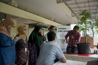 Pelatihan budi daya tanaman buah ara bagi penyintas gangguan kejiwaan di Yayasan Jiwa Layang, Jakarta. Dok. Yayasan Jiwa Layang