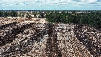 An aerial photo of a cassava plantation in Tewai Baru, Gunung Mas Regency, Central Kalimantan, March 6.
Antara/Makna Zaezar
