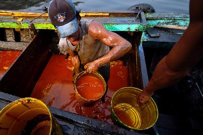Aktivitas bongkar muat minyak sawit mentah (CPO) di Pelabuhan Cilincing, Jakarta. TEMPO/Tony Hartawan
