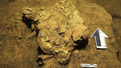 The skull of Besse in the Paningnge cave.
Department of Archeology, Hasanuddin University Makassar/mongabay.co.id
