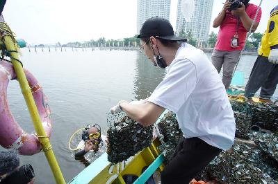 Peserta mengangkat kulit kerang hijau untuk ditanam di dasar laut Ancol, Jakarta, 28 Oktober 2021. Dok. Eco Nusa
