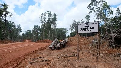 Area RKT 2021 PT Inocin Abadi yang telah dibuka di tahun sebelumnya. Forest Watch Indonesia/Aziz