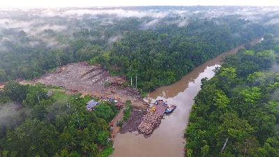 Deforestasi Terencana di Papua   