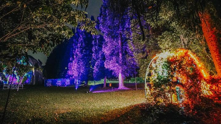 Bogor Botanical Gardens’ Night Lights