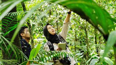 Rahayu Oktaviani saat melakukan monitoring regular kelompok Owa Jawa liar, di Hutan Citalahab, Jawa Barat, November 2020/Nathan Rusli