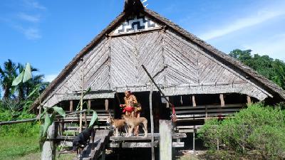Aman Laulau bersiap untuk berburu di Kampung Butui, Siberut Selatan, Kepulauan Mentawai, Sumatera Barat. TEMPO/Febrianti
