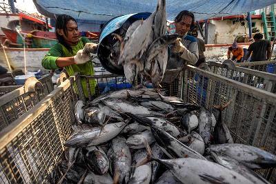 Bongkar muat ikan dari lambung kapal di Pelabuhan Perikanan Samudera Nizam Zachman, Muara Baru, Jakarta, 16 Desember 2021. Tempo/Tony Hartawan