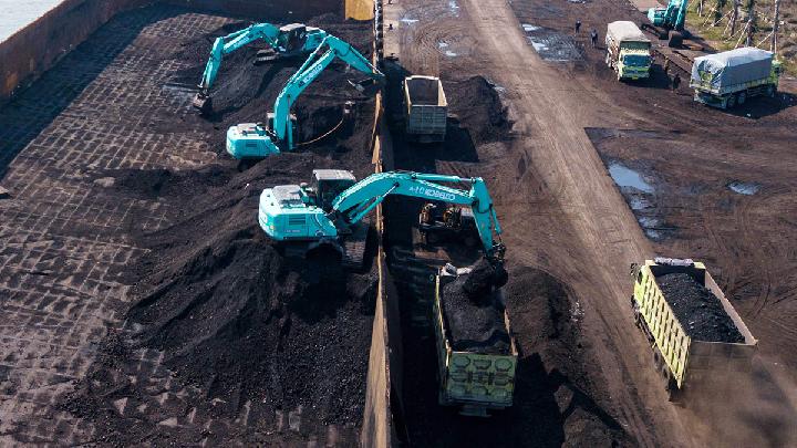An Unhappy New Year for Coal Businesses 