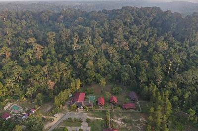 Hutan hujan tropis di kawasan wisata Bukit Bangkirai, Samboja, Kutai Kartanegara, Kalimantan Timur, 29 Agustus 2019. ANTARA/Akbar Nugroho Gumay