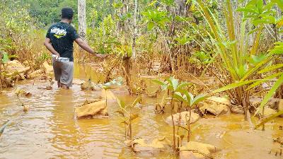 Endapan sedimentasi hasil tambang dan pembangunan pabrik, yang menutup jalur menuju mata air warga di Desa Kawasi, Kecamatan Obi, Halmahera Selatan, Maluku Utara, November 2021/Tempo/BUDHY NURGIANTO
