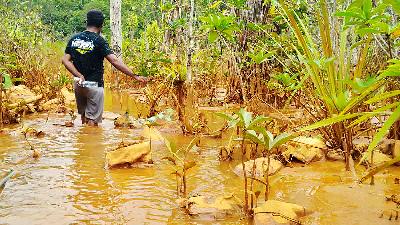 Sediment resulting from mining and the installation of a factory has closed off the flow from a water source used by residents of the village of Kawasi, Obi sub-regency, South Halmahera, North Maluku, November 2021. Tempo/BUDHY NURGIANTO