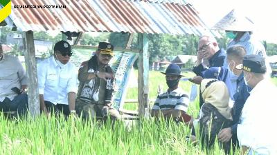 Kunjungan Menteri Pertanian Syahrul Yasin Limpo ke Bulukumba, Sulawesi Selatan.