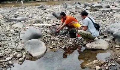 Warga Lukut memunguti ikan yang mati karena tercemar limbah Sianida di Sungai Cikaniki, Nanggung, Kabupaten Bogor, 2 Februari 2022. Istimewa