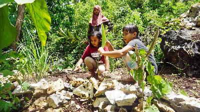 Anak-anak Sekolah Pagesangan menanam empon-empon di Dusun Wintaos, Desa Girimulya, Panggang, Gunung Kidul, Yogyakarta, 28 Januari 2022/TEMPO/Shinta Maharani
