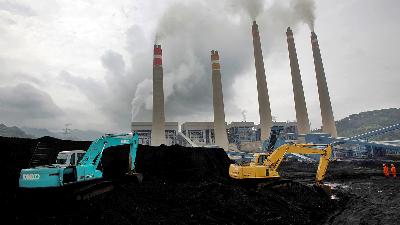 Excavators pile coal in a storage area at the power plant in Suralaya, Banten, January 2010.
REUTERS/Dadang Tri/File Photo
