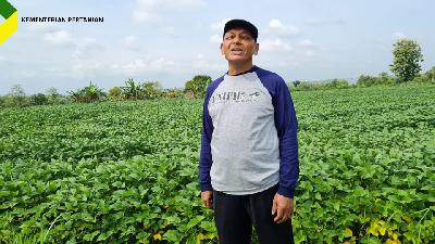Salah satu petani kedelai di Kabupaten Grobogan, Jawa Tengah.