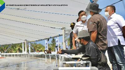 Menteri Koordinator Bidang Kemaritiman dan Investasi (Menko Marves) Luhut B. Pandjaitan meninjau fasilitas dan penebaran Benur Udang Vaname di Indonesian Naval Aquagriculture Program (INAP), Jembrana, Bali, Jumat, 25 Februari 2022.