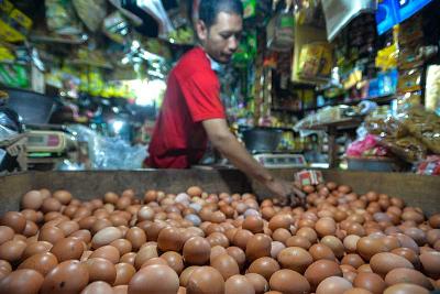Pedagang menata telur di pasar Teber, Jakarta, 13 September 2021. Tempo/Tony HArtawan