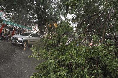 Mobil melintas di dekat pohon yang tumbang di kawasan Kelapa Dua, Depok, Jawa Barat, 8 Maret 2022. ANTARA/Asprilla Dwi Adha