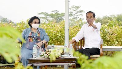 Presiden Joko Widodo bersama Megawati Soekarnoputri meninjau Persemaian Modern Rumpin, di Kabupaten Bogor, Jawa Barat, 10 Maret 2022. BPMI Setpres/Rusman