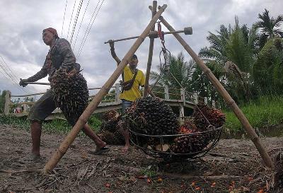 Pekerja menimbang tandan buah segar kelapa sawit di Bram Itam, Tanjungjabung Barat, Jambi, 15 Maret 2022. ANTARA/Wahdi Septiawan