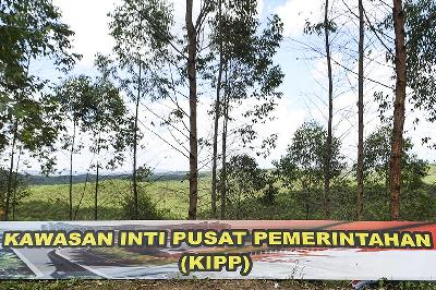 Lahan hutan tanaman industri yang akan menjadi Kawasan Inti Pusat Pemerintahan  Ibu Kota Negara (IKN) Nusantara di Sepaku, Penajam Paser Utara, Kalimantan Timur, 15 Maret 2022. ANTARA/Hafidz Mubarak A