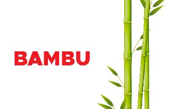 Bambu/Tempo