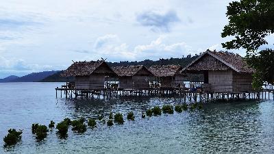 Mangrove planted by coastal residents of the Yensawai Barat village at Bantata Island, Raja Ampat, West Papua, on March 25, 2022. TEMPO/Purwani Diyah Prabandari