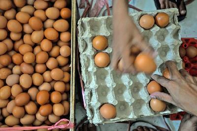 Pekerja menata telur ayam di salah satu agen penjualan telur kawasan Pal Batu, Jakarta, 3 Juni 2022. Tempo/Tony Hartawan