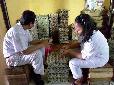 Penyandang disabilitas Yayasan Rawinala membuat telur asin untuk dipasarkan. Dok Rawinala