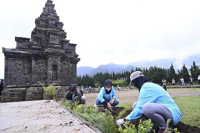 Sejumlah anak muda yang tergabung dalam komunitas Darling Squad melakukan penanaman pohon di Candi Dieng, Jawa Tengah, 6 Juli 2022. Dok Bakti Lingkungan Djarum Foundation