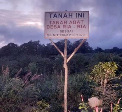 Sebagian kawasan food estate kini menjadi area konflik lahan masyarakat Desa Ria-Ria dan Desa Parsingguran I, Kabupaten Humbang Hasundutan, Sumatera Utara. Tempo/Sahat Simatupang