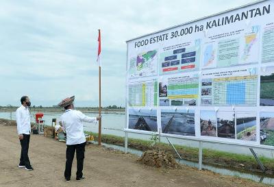 Presiden Joko Widodo meninjau lokasi pengembangan food estate di Desa Belanti Siam, Pulang Pisau, Kalimantan Tengah, 8 Oktober 2020. BPMI Setpres/Kris