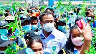 Menteri Kesehatan Masyarakat Anutin Charnvirakul menghadiri pemberian satu juta tanaman ganja gratis di Provinsi Buriram, Thailand, 10 Juni 2022. Kementerian Kesehatan Masyarakat Thailand/Handout via REUTERS