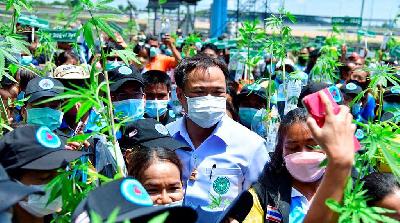 Thailand’s Public Health Minister Anutin Charnvirakul attends the donation of one million marijuana plants in Buriram Province, Thailand, June 10.
Thailand Public Health Ministry/Handout via REUTERS
