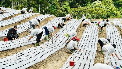President Joko Widodo (in black jersey) joins in planting shallot seedlings at the food estate area in Ria-Ria village, Humbang Hasundutan, North Sumatra, October 27, 2020.
BPMI Setpres/Laily Rachev

