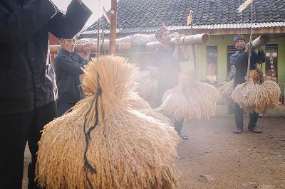 Masyarakat adat melakukan ngarengkong yang merupakan memanggul hasil panen padi dengan bambu yang dapat menghasilkan suara di Kasepuhan Karang, Desa Jagaraksa, Lebak, Banten, 10 Agustus 2022. TEMPO/M Taufan Rengganis