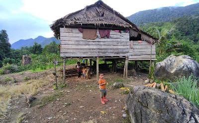 Rumah panggung yang didirikan masyarakat nomaden Lipu Salisarao di area Hutan Adat Wana Posangke, Kecamatan Bungku Utara, Sulawesi Tengah. Tempo/Yohanes Paskalis