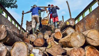 Pengangkutan kayu gelondongan di Tempat Penimbunan Kayu (TPK) Banjar Perum Perhutani Kesatuan Pemangkuan Hutan (KPH) Ciamis, Banjar, Jawa Barat, Juli 2020/ANTARA/Adeng Bustomi