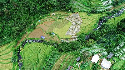 The Cimandiri River basin area in Sukagalih, Sukabumi, West Java, November 2021.
Deden Pramudiana/Independent Forest Monitoring Fund
