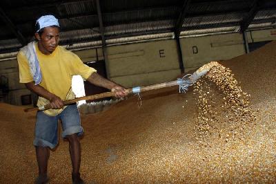 Pekerja memindahkan jagung pipil kuning di Makassar, Sulawesi Selatan. Dok. TEMPO/ Irmawati