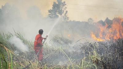 Kebakaran lahan gambut di Indralaya Utara, Ogan Ilir, Sumatra Selatan, Agustus 2019/ANTARA/Ahmad Rizki Prabu