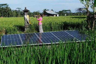 Panel surya yang terpasang di area persawahan desa berbasis energi baru dan terbarukan (EBT), Desa Keliki, Gianyar, Bali, 16 September 2022. ANTARA/Nyoman Hendra Wibowo