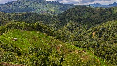 Foto aerial ladang milik warga di hutan Pegunungan Meratus, Desa Hinas Kanan, Kabupaten Hulu Sungai Tengah, Kalimantan Selatan, November 2021.  ANTARA/Bayu Pratama S