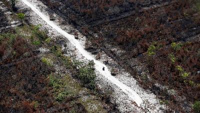 A motorcyclist drives on a path cutting through land destroyed by forest fires near Banjarmasin, South Kalimantan, September 29, 2019.
REUTERS/Willy Kurniawan/File Photo
