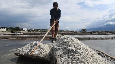 Petani memanen garam di Kawasan Penggaraman Talise di Palu, Sulawesi Tengah, 11 November 2022/ANTARA/Mohamad Hamzah
