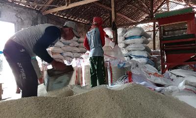 Pekerja memasukkan beras yang baru digiling ke dalam karung di Desa Suranenggala Kidul, Kecamatan Kapetakan, Kabupaten Cirebon. TEMPO/Ivansyah